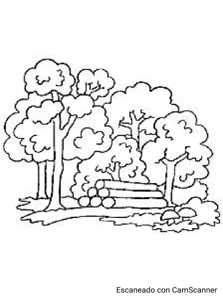 Frend Tree | PDF