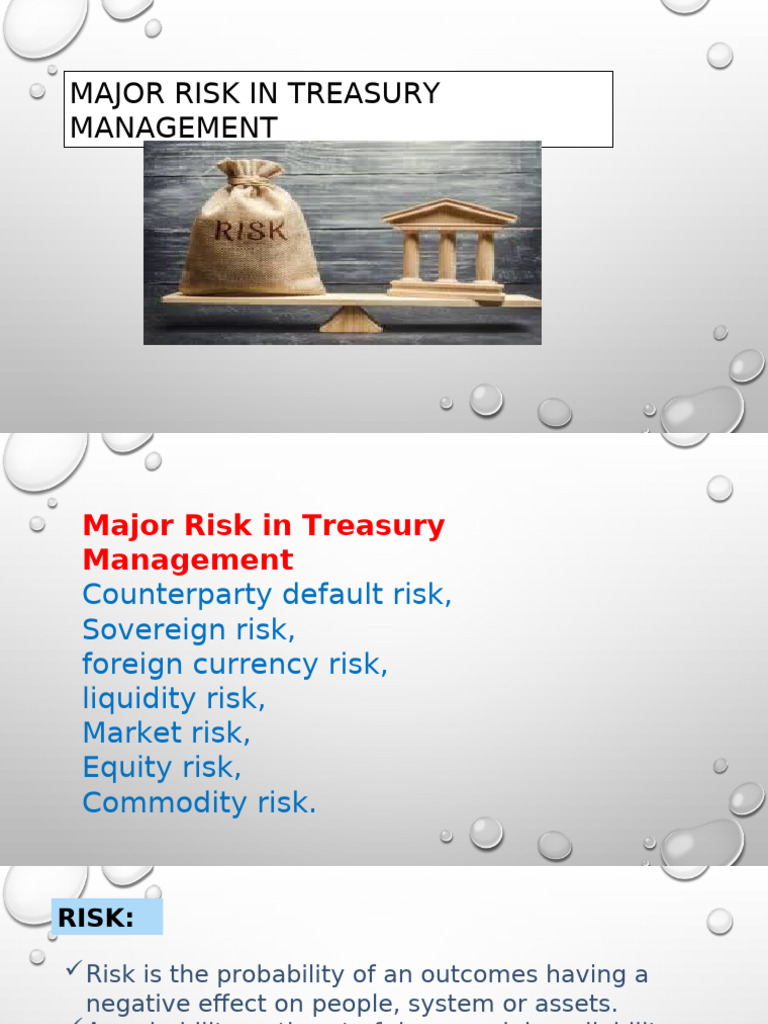 Key Risks in Treasury Management | PDF | Financial Risk | Credit Risk
