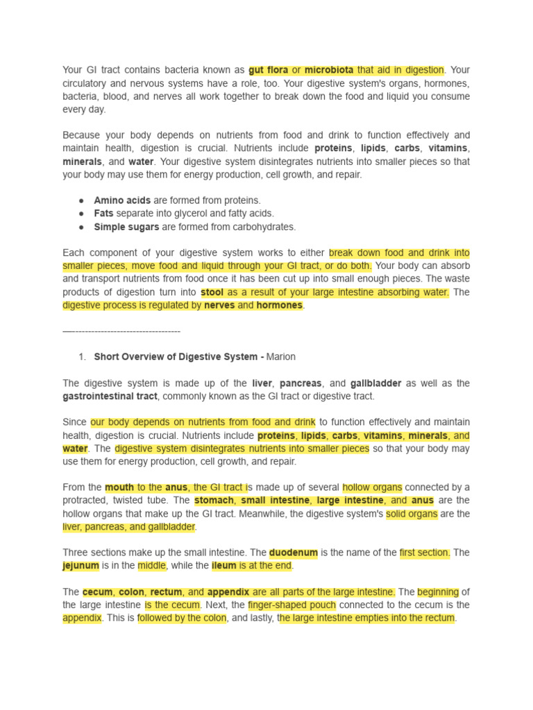 Understanding the Digestive System | PDF | Peritoneum ...