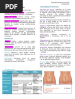 Tipos de Incisiones Abdominales | PDF | Abdomen | Cirugía