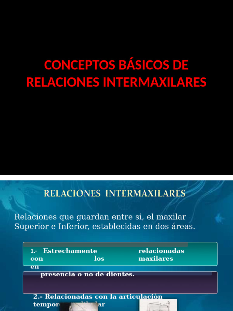 Relaciones Intermaxilares en Oclusión Oral | PDF | Odontología | Lengua
