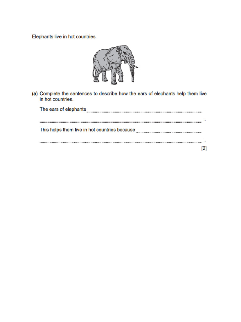Stage 4 U4 Test | PDF