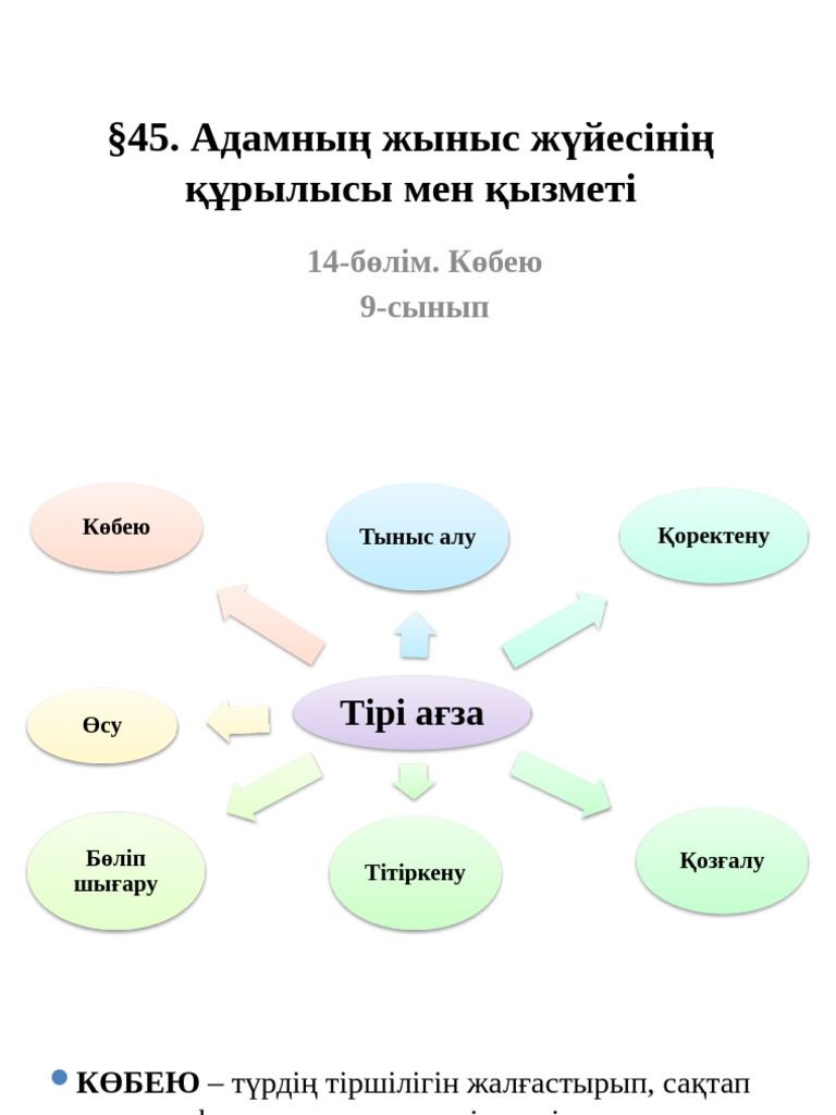 Писка өлшеміндегі бейне