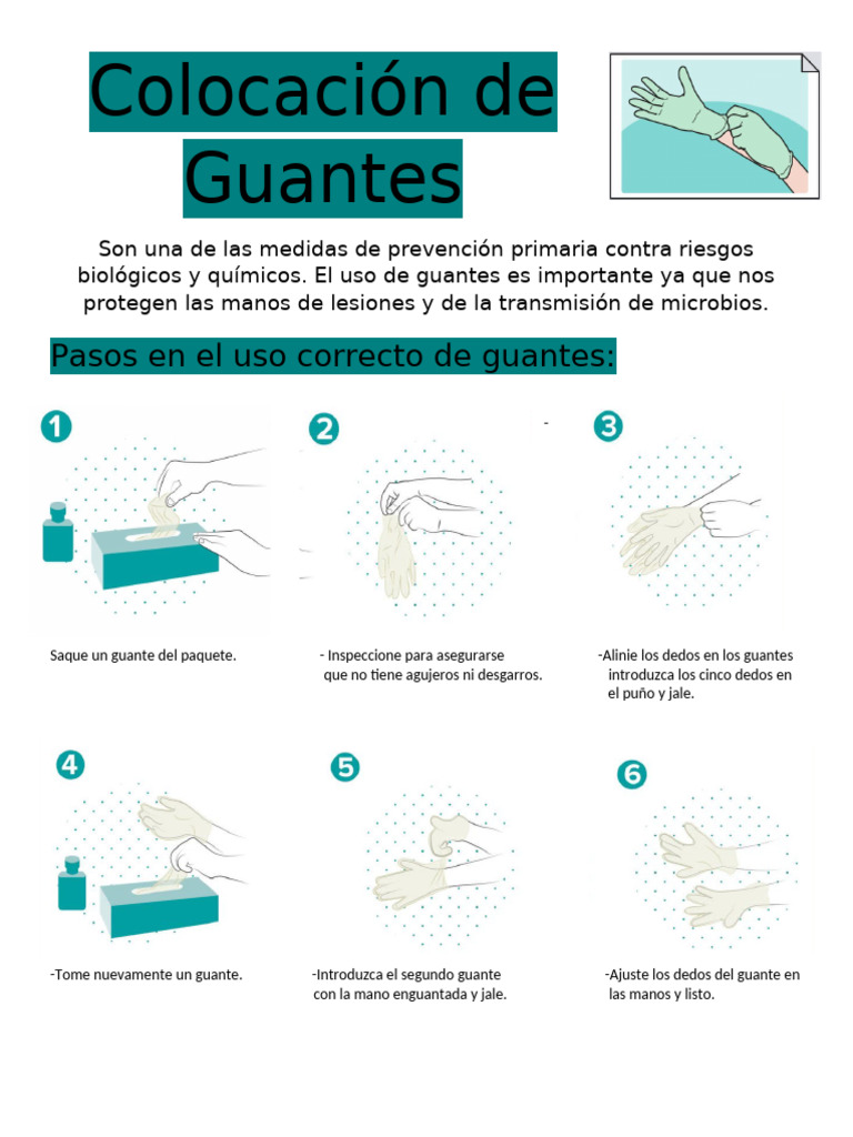 Cómo Colocar Guantes Correctamente | PDF
