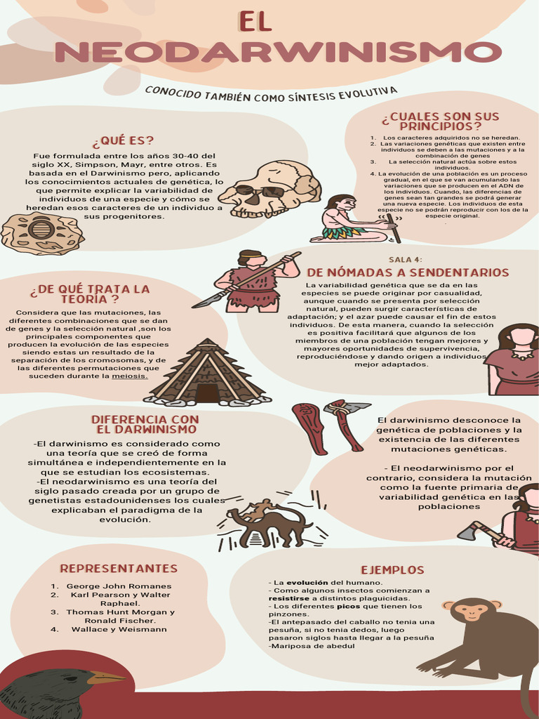 Neodarwinismo: Principios y Ejemplos | PDF | Evolución | Seleccion natural
