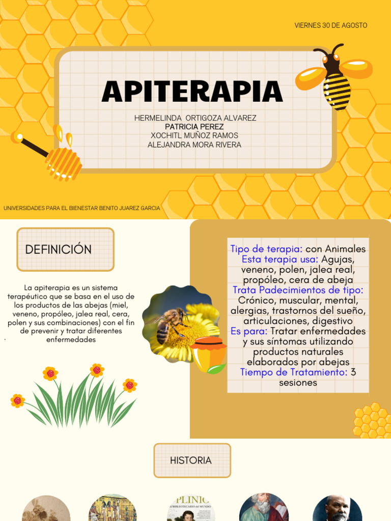 Apiterapia: Beneficios y Usos Terapéuticos | PDF | Miel | Apicultura