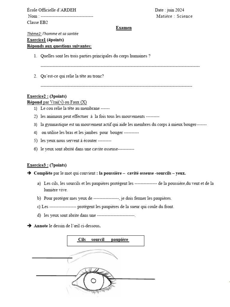Examen de Sciences Classe EB2 | PDF | Œil | Zoologie