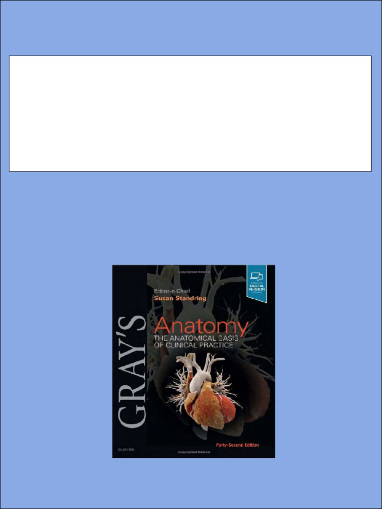 Gray's Anatomy 第39版 Gray's Anatomy 第39版 - メルカリ