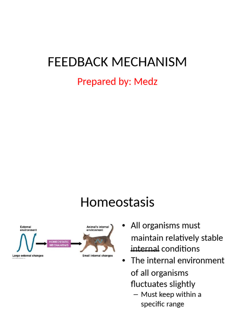 Feedback Mechanism Lecture | PDF | Neuron | Senses