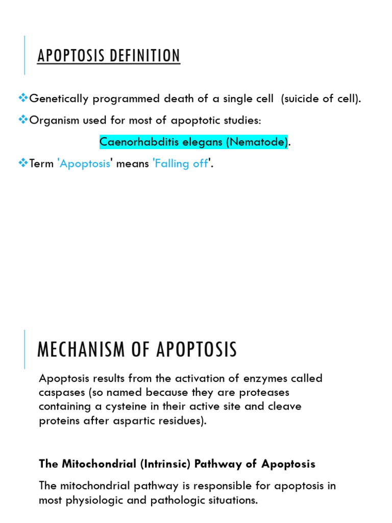 Apoptosis ppt final | PDF | Apoptosis | Cell Biology