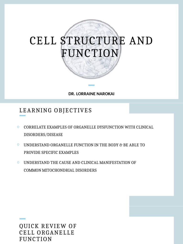 Understanding Cell Organelles and Disorders | PDF | Endoplasmic ...