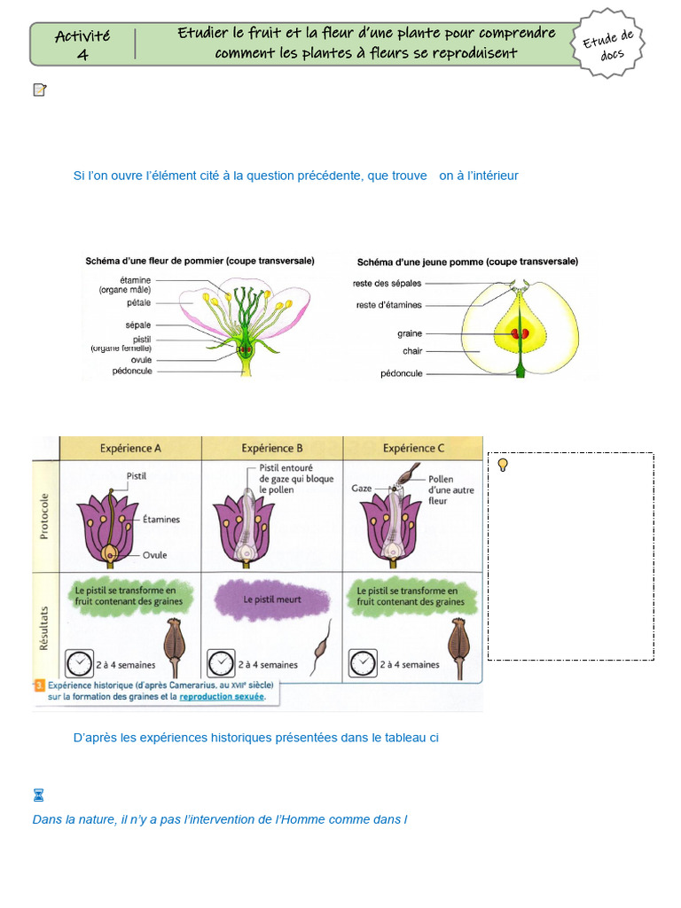 Reproduction des plantes à fleurs | PDF
