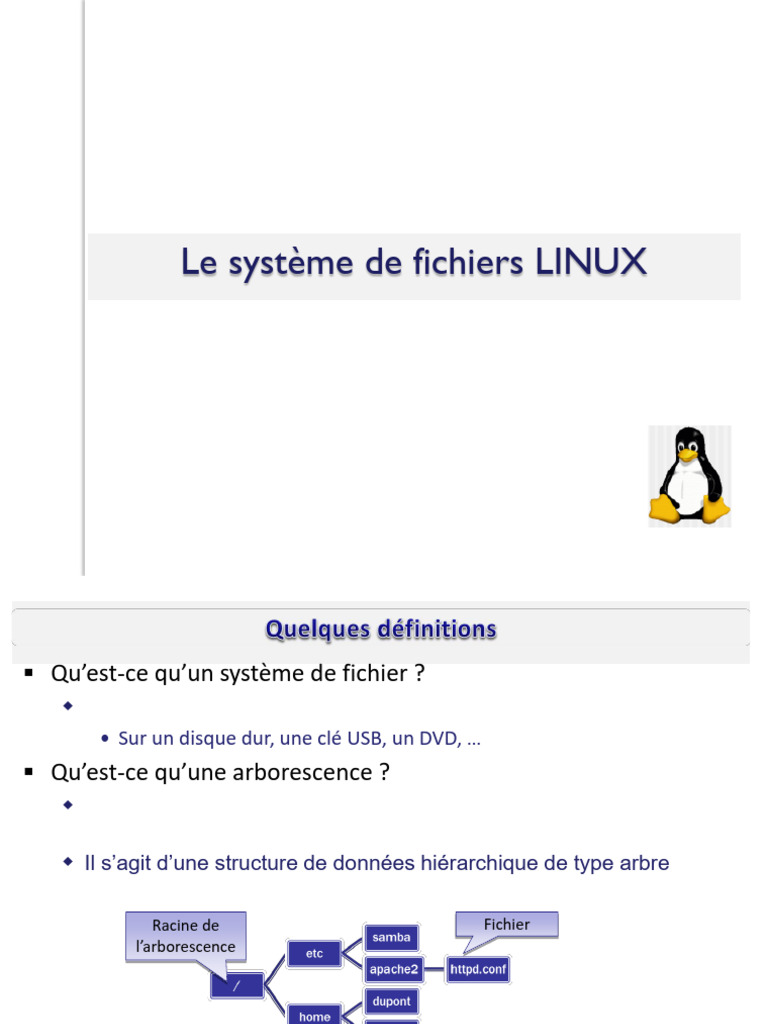 Introduction au système de fichiers Linux | PDF | Mémoire (informatique ...