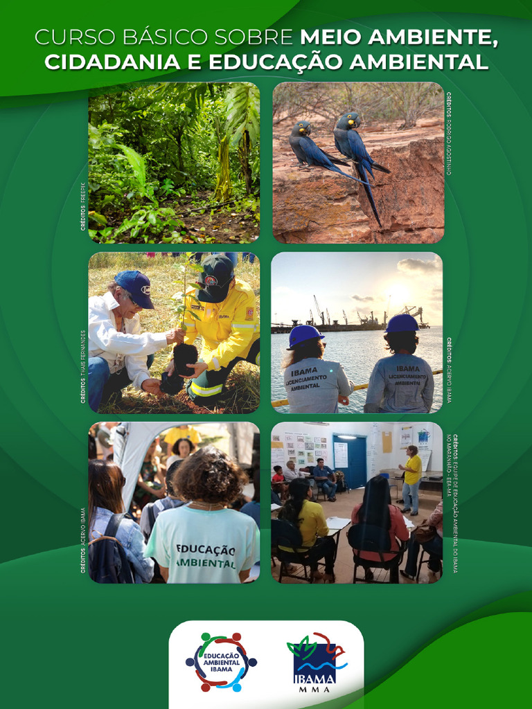 Educação Ambiental e Cidadania | PDF | Sustentabilidade | Movimento ...