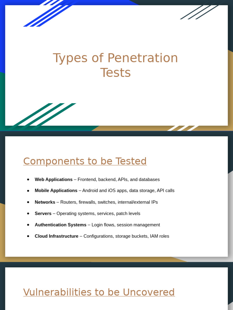 Penetration Testing1 | PDF | Security | Computer Security