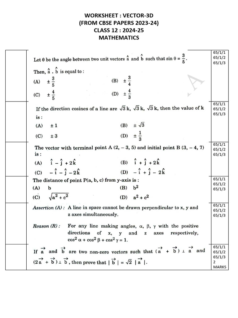 Class 12 3D Vector Worksheet 2024 | PDF | Secondary Education