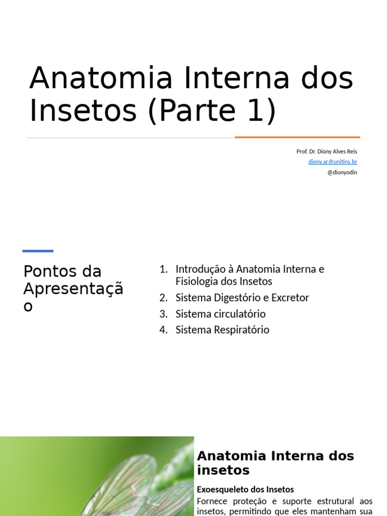 Anatomia e Fisiologia dos Insetos | PDF | Sistema circulatório | Insetos