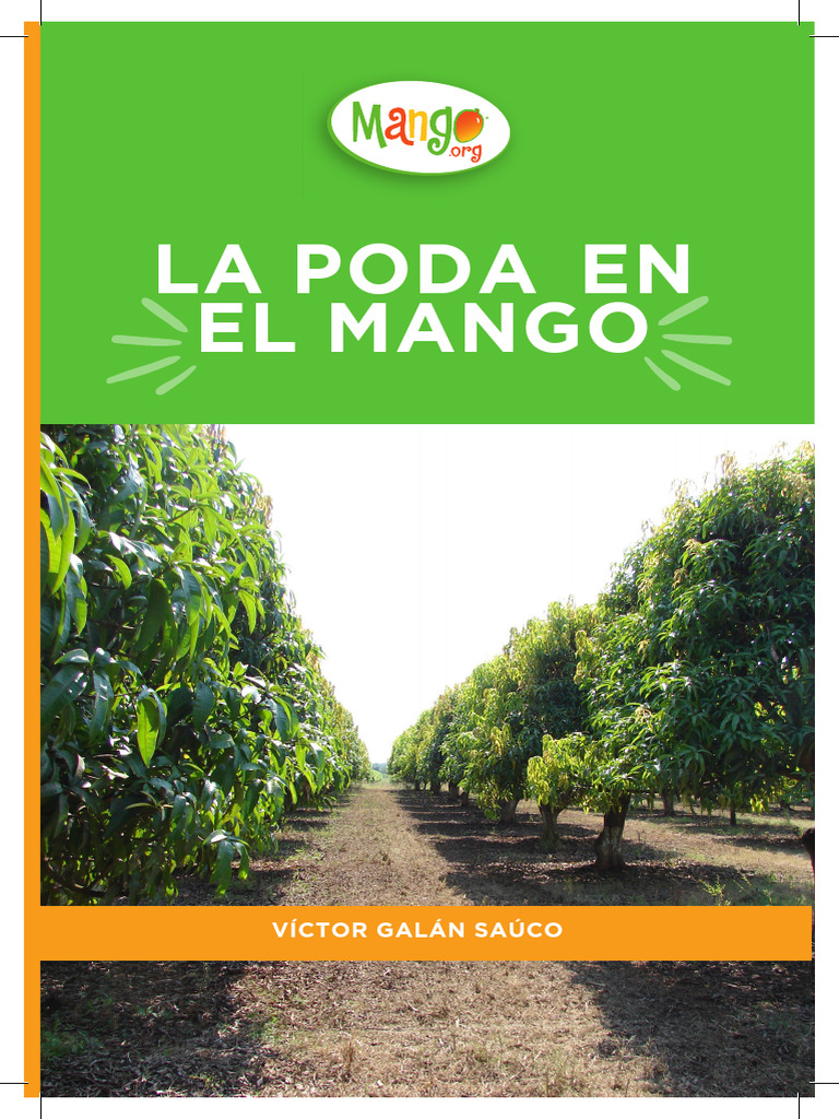 Poda del Mango: Guía Práctica | PDF | Mango | Tallo de la planta