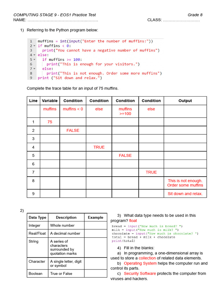 Grade 8 Computing Practice Test | PDF | Data Type | Boolean Data Type