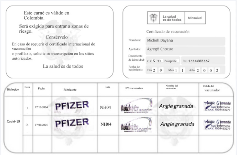Carnet | PDF