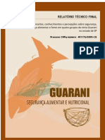 relatorio final abril 2010-1 Segurança alimentar e Nutricional guarani sao paulo