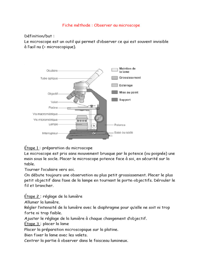Guide d'Observation au Microscope | PDF | Objectif photographique ...