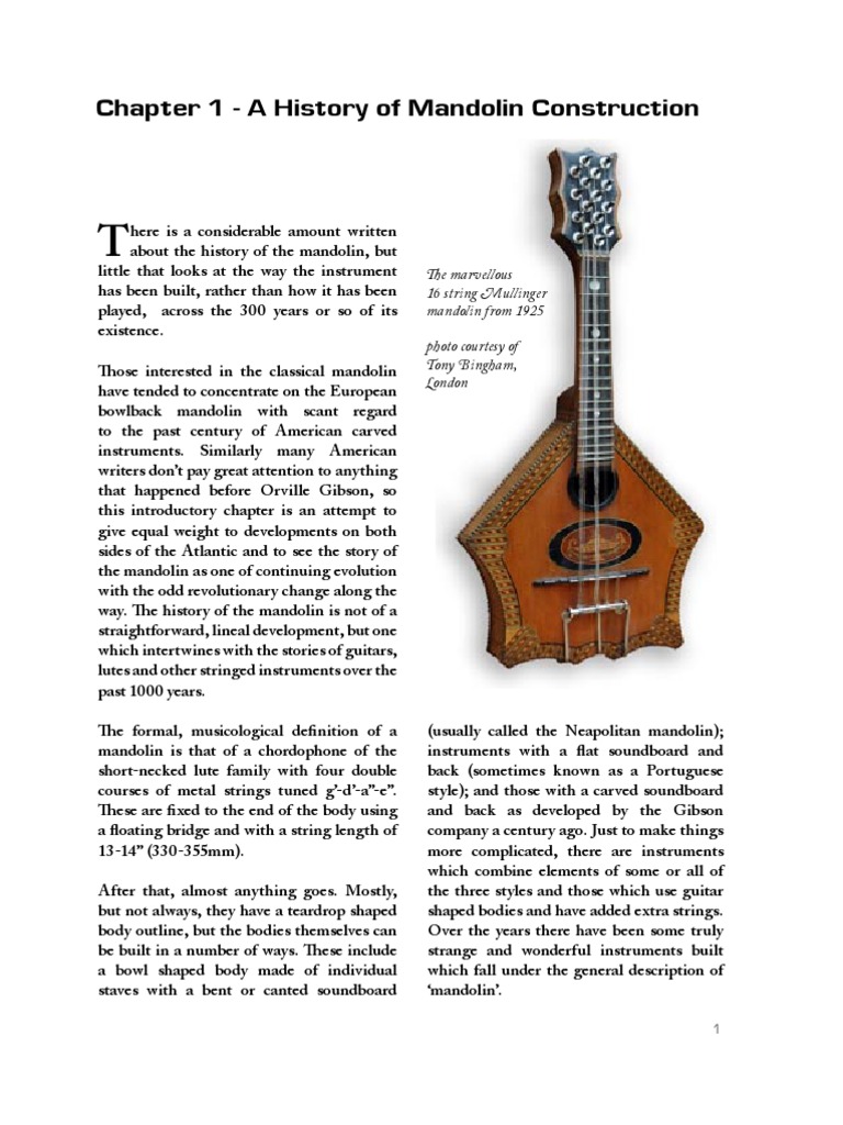 essay on the history of musical instruments