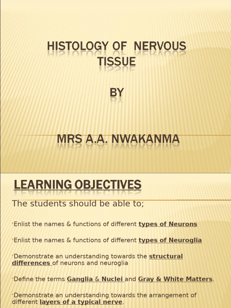 Histology of The Nervous Tissue-1-1 | PDF | Central Nervous System | Axon