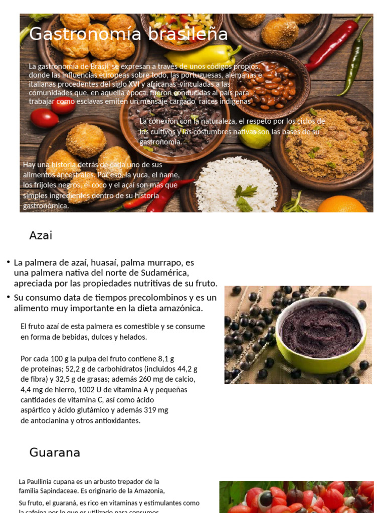 Guia Aliemtaria Brasil | PDF | Alimentos | Cocina
