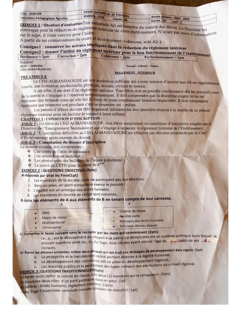 ACE Scanner Document Overview | PDF