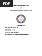 PDF Document