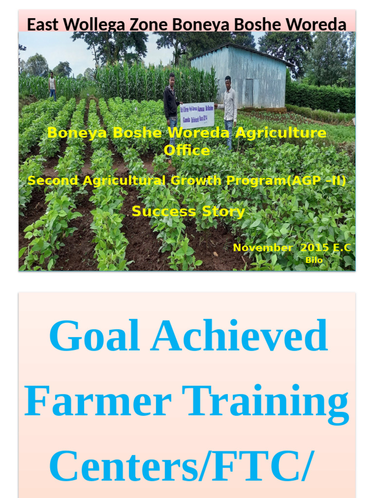 Boneya Boshe Woreda Agriculture Success | PDF | Agriculture | Maize
