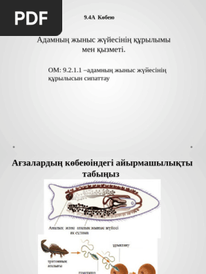 Таз еркекпен әйелінің порносы