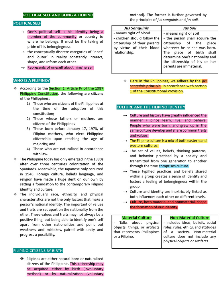 Understanding Filipino Political Identity | PDF | Identity (Social ...