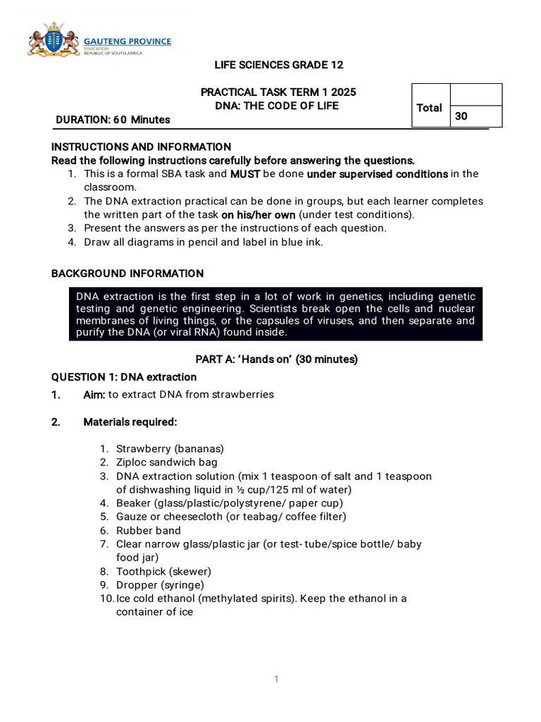 Gr. 12 t1 Sba Task Part 2 | PDF