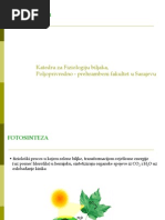 Download 5 Fotosinteza by Dragana Samardzic SN84529952 doc pdf
