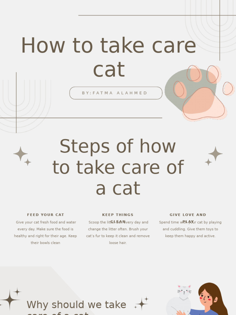 How To Take Care Cat 2 Pdf