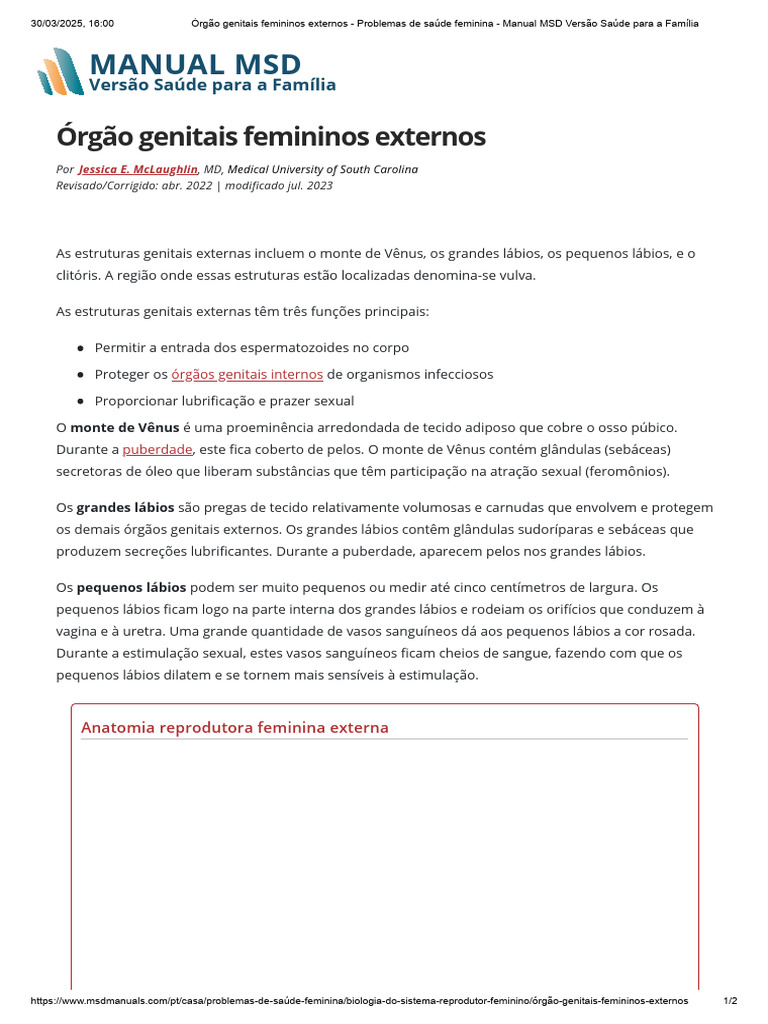 Órgão Genitais Femininos Externos - Problemas de Saúde Feminina ...