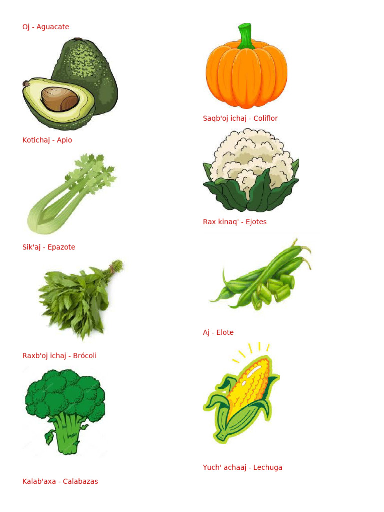 18 verduras en kaqchikel | PDF