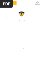 Programa de Educacion Preescolar 2004 | PDF | Educación de la primera ...