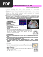 Planejamento de PPR: Estruturas e Classes | PDF | Dente humano | Boca