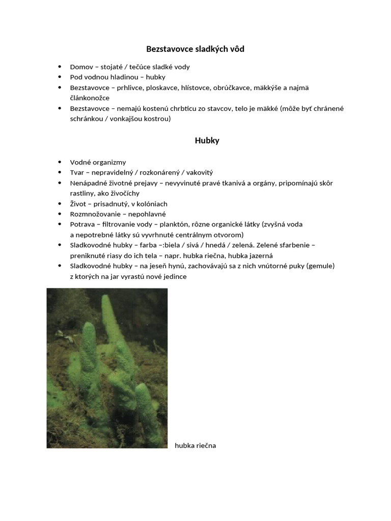 Bezstavovce Sladkých Vôd, Hubky | PDF