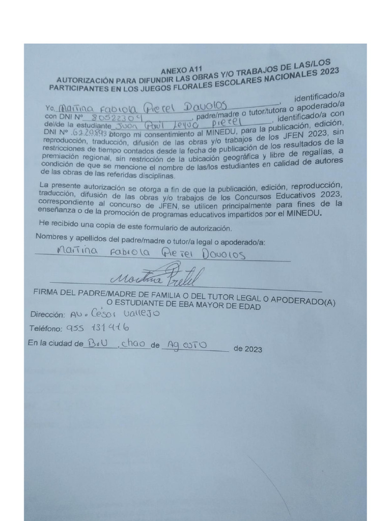 Categ - C - Autorización Difundir Trabajos | PDF