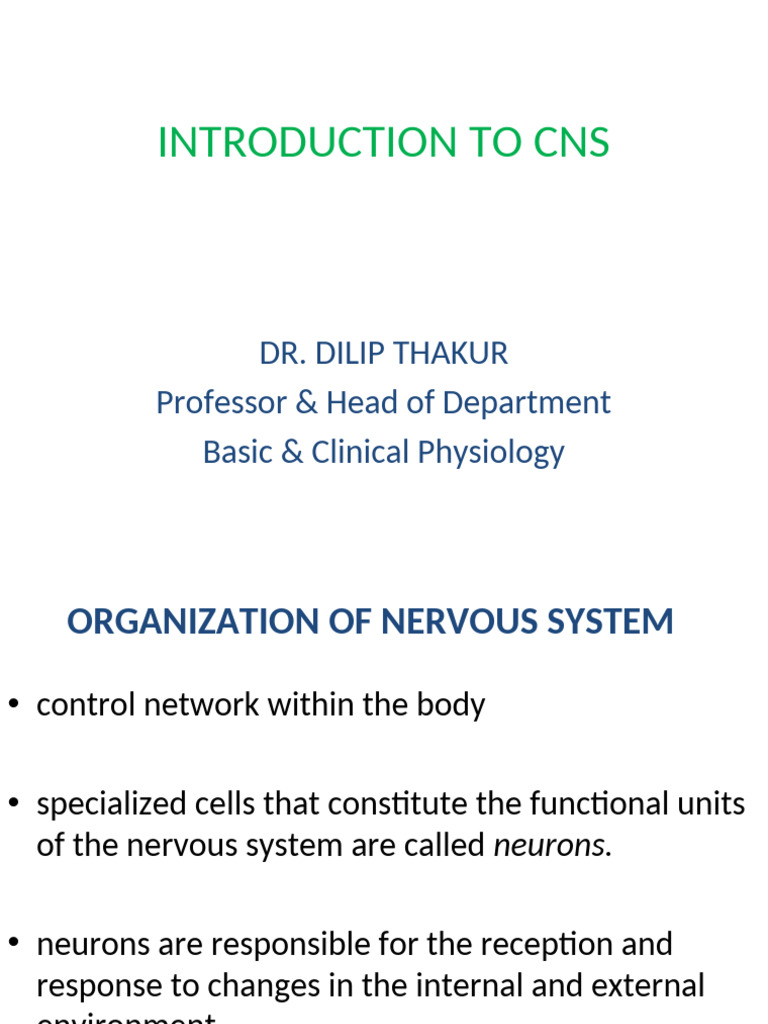 Overview of the Central Nervous System | PDF