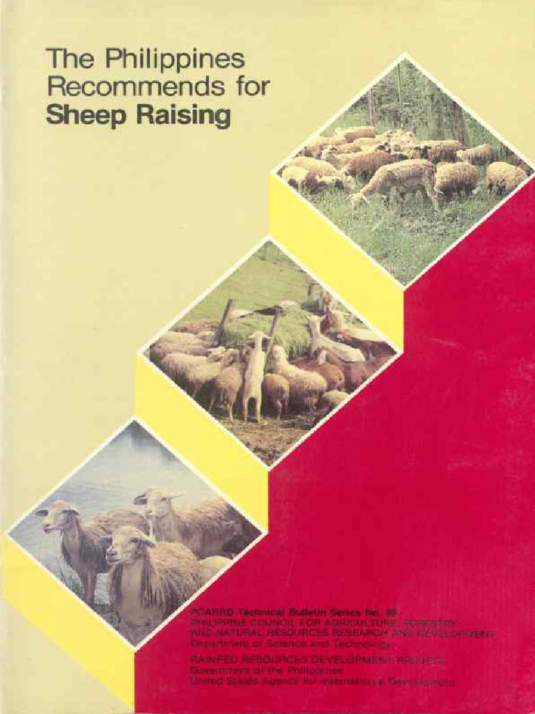 Sheep Raising | PDF