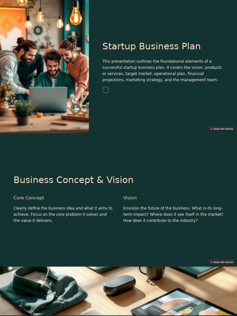 Startup Business Plan 2 | PDF