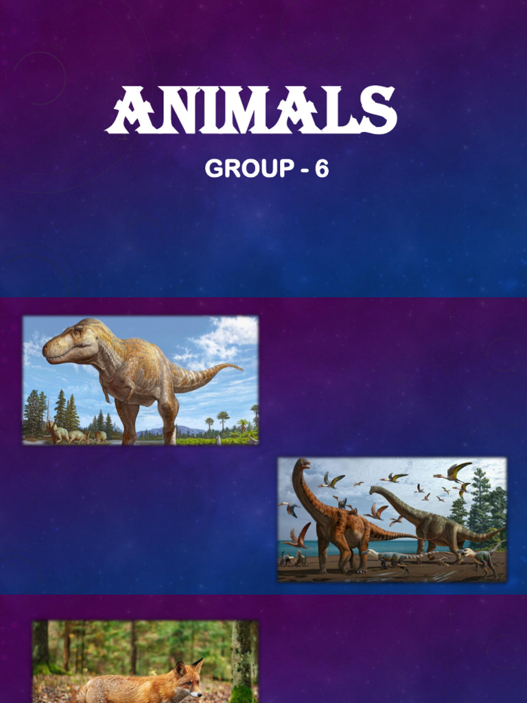 Animals | PDF