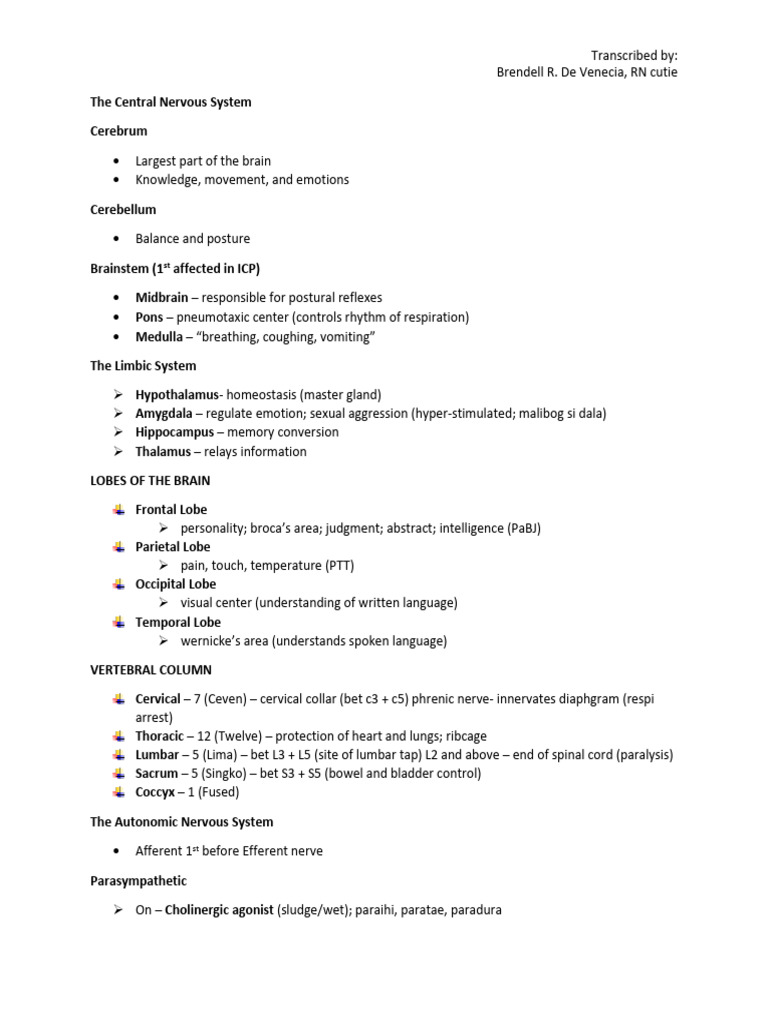 Overview of the Central Nervous System | PDF | Nervous System