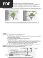Transpiration Rate Experiment with Potometer | PDF
