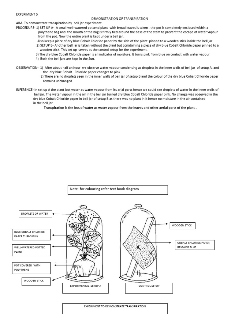 Bell Jar Experiment on Transpiration | PDF | Earth Sciences